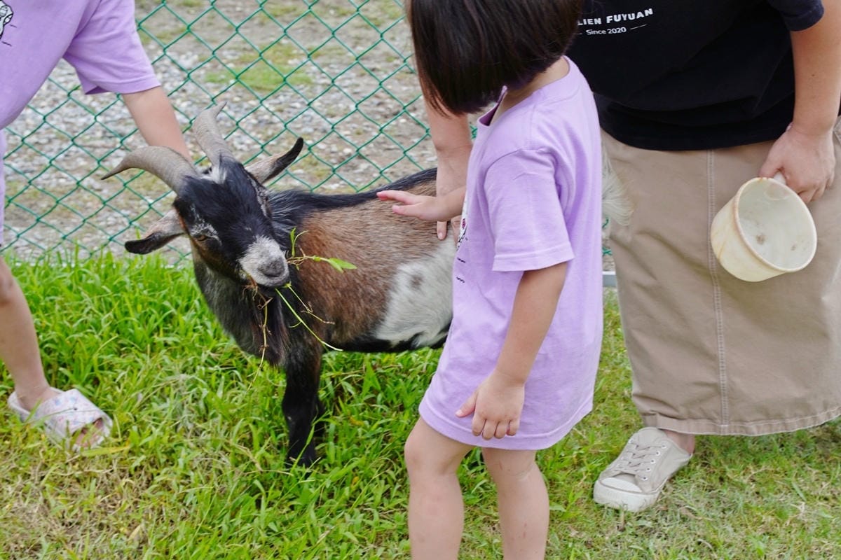 DSC03676.JPG DSC03676.JPG