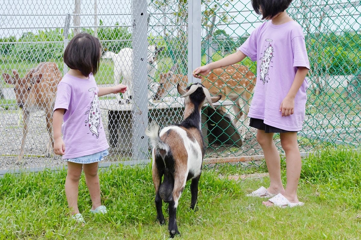 DSC03684.JPG DSC03684.JPG