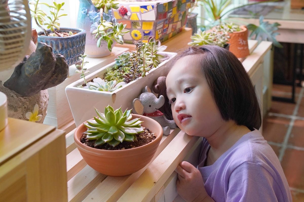 DSC03743.JPG DSC03743.JPG