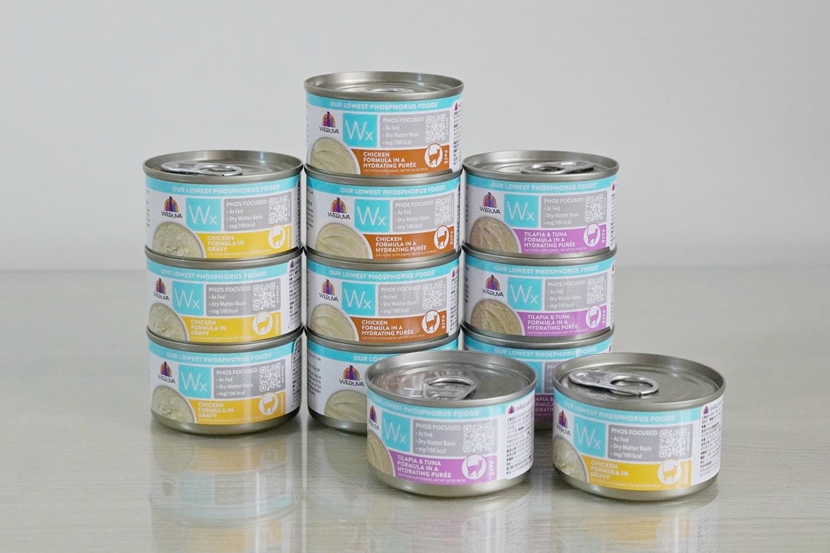 DSC04054.JPG DSC04054.JPG