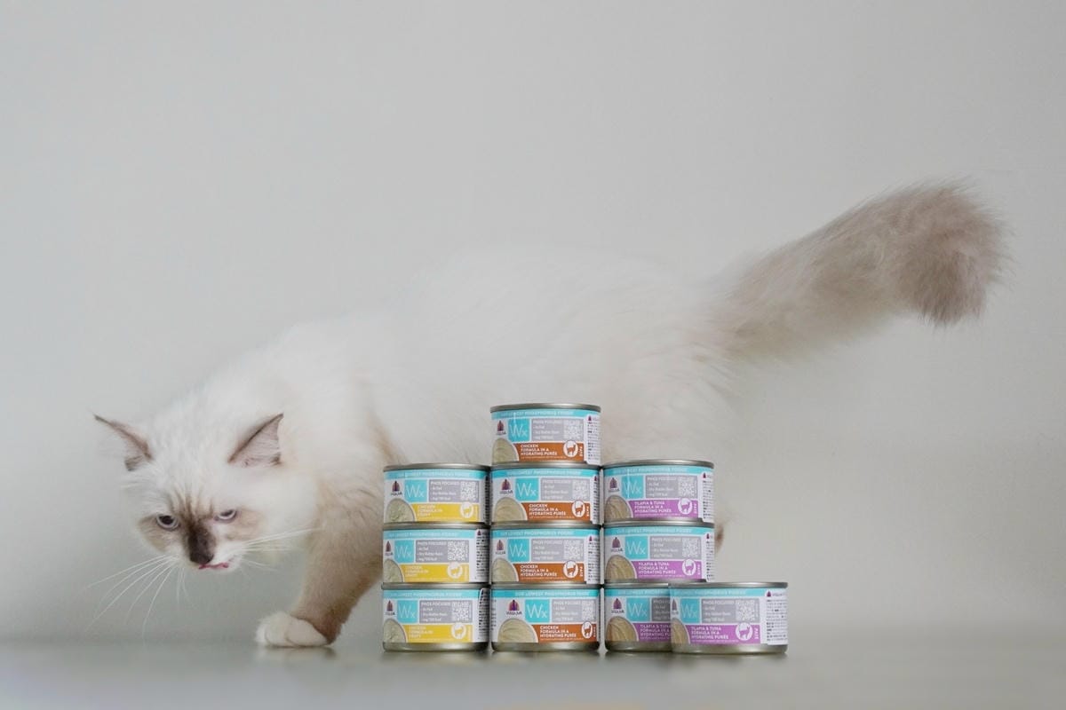 MEITU_20250730_190030549.jpg MEITU_20250730_190030549.jpg