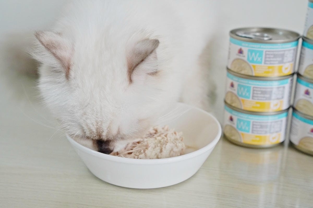 DSC04085.JPG DSC04085.JPG