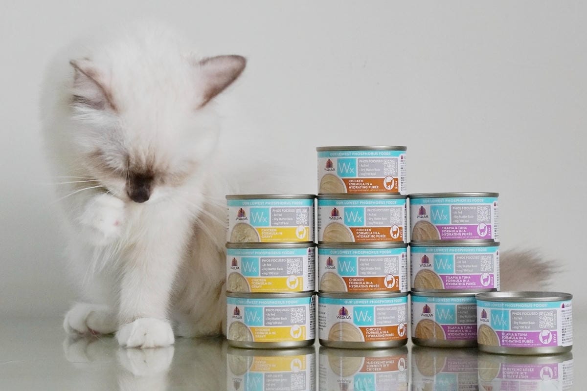 MEITU_20250730_190129930.jpg MEITU_20250730_190129930.jpg