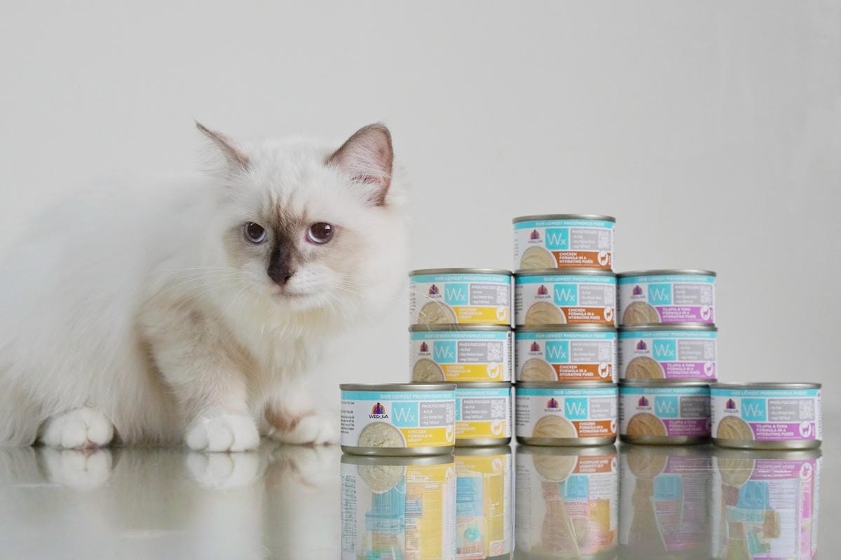 MEITU_20250730_190733792.jpg MEITU_20250730_190733792.jpg