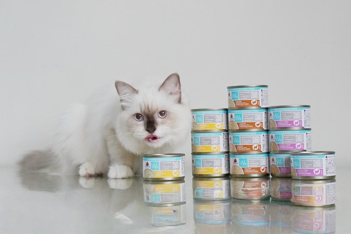 MEITU_20250730_190404313.jpg MEITU_20250730_190404313.jpg