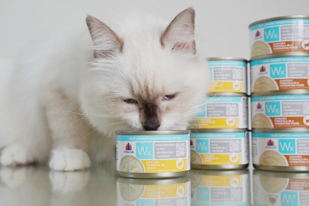 DSC04070.JPG DSC04070.JPG