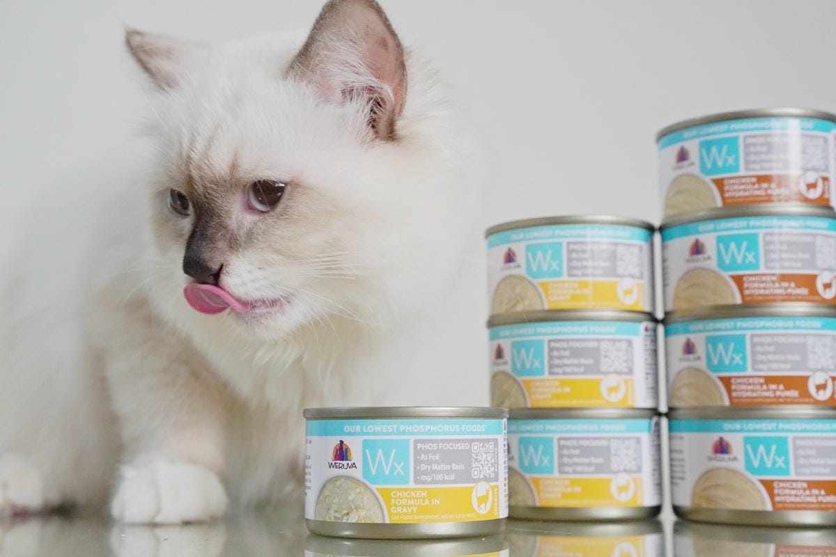 DSC04071.JPG DSC04071.JPG