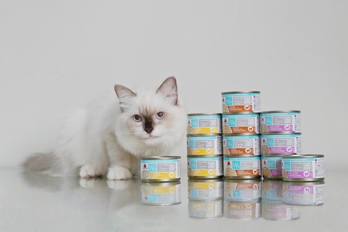 MEITU_20250730_190221795.jpg MEITU_20250730_190221795.jpg