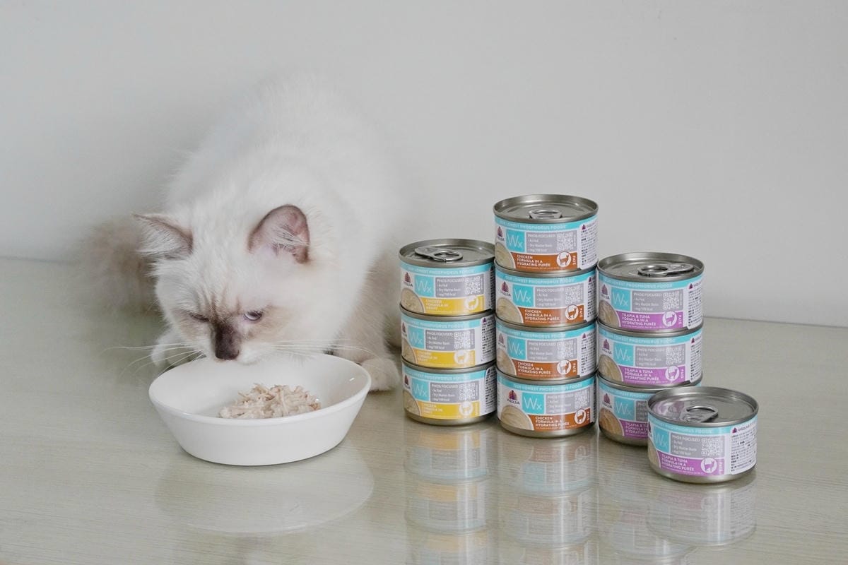 DSC04082.JPG DSC04082.JPG