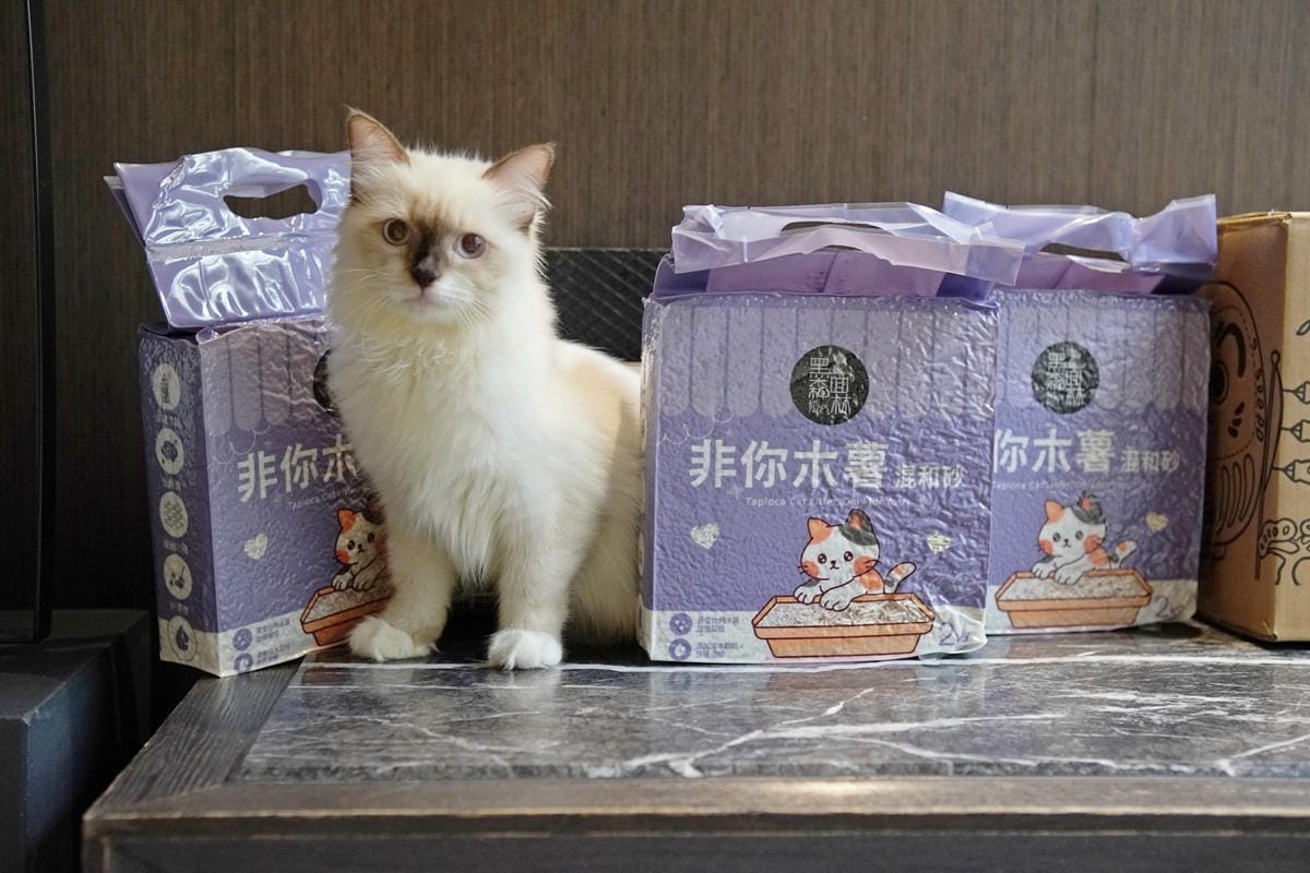 DSC06738_副本.jpg DSC06738_副本.jpg