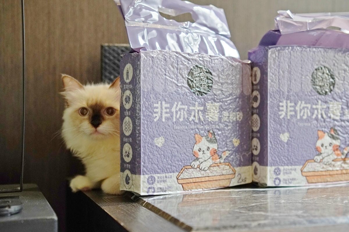 DSC06732_副本.jpg DSC06732_副本.jpg