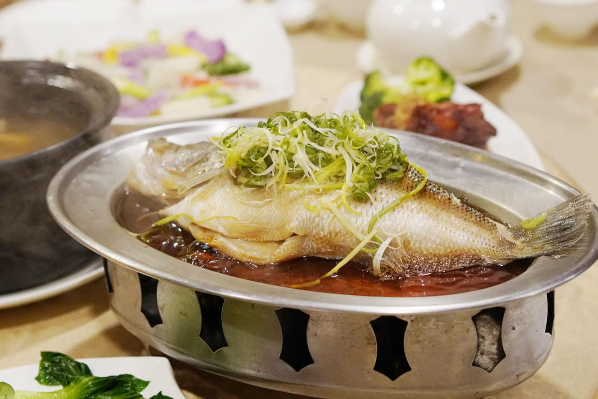 DSC02497.JPG DSC02497.JPG