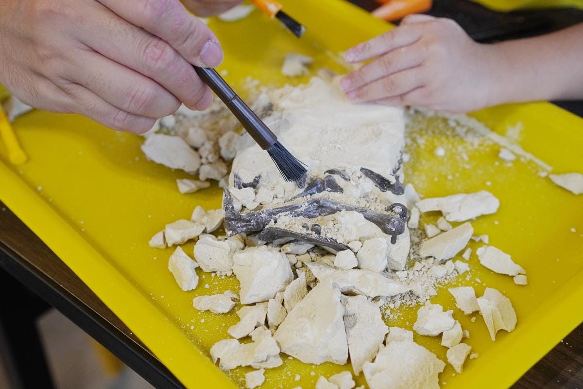 DSC02292.JPG DSC02292.JPG