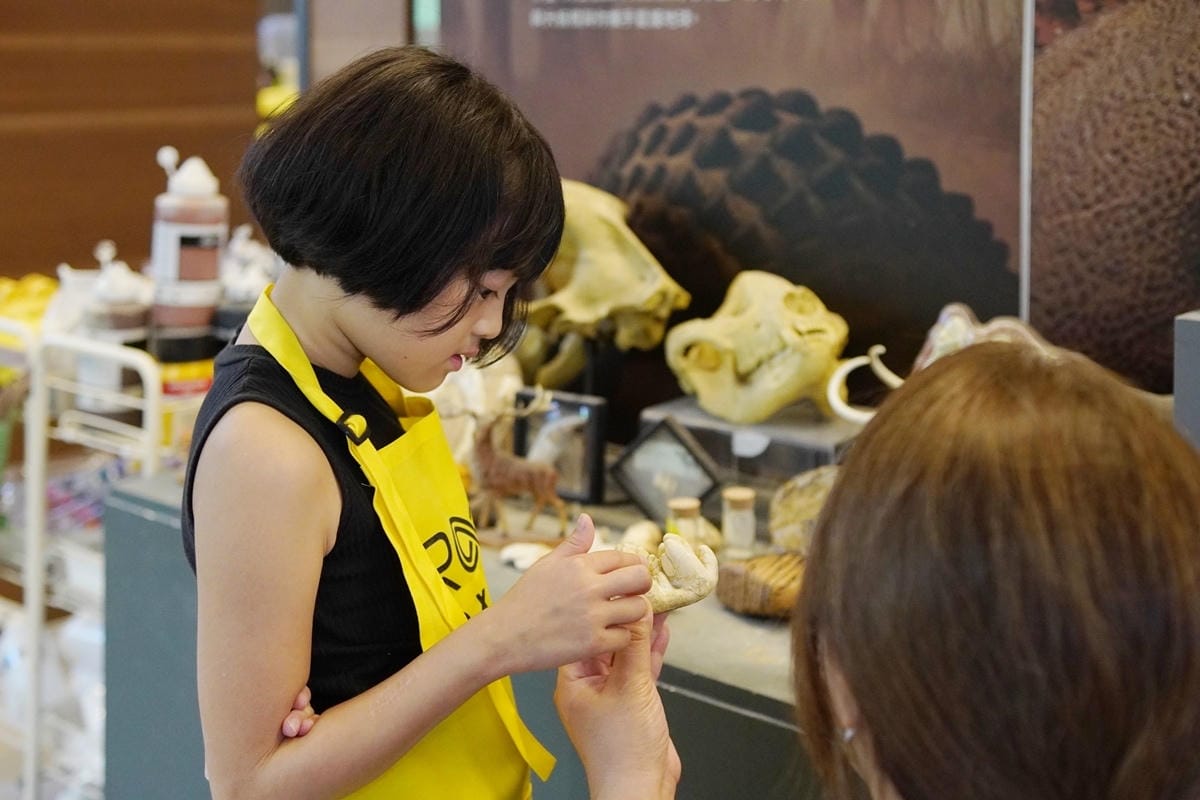 DSC02313.JPG DSC02313.JPG