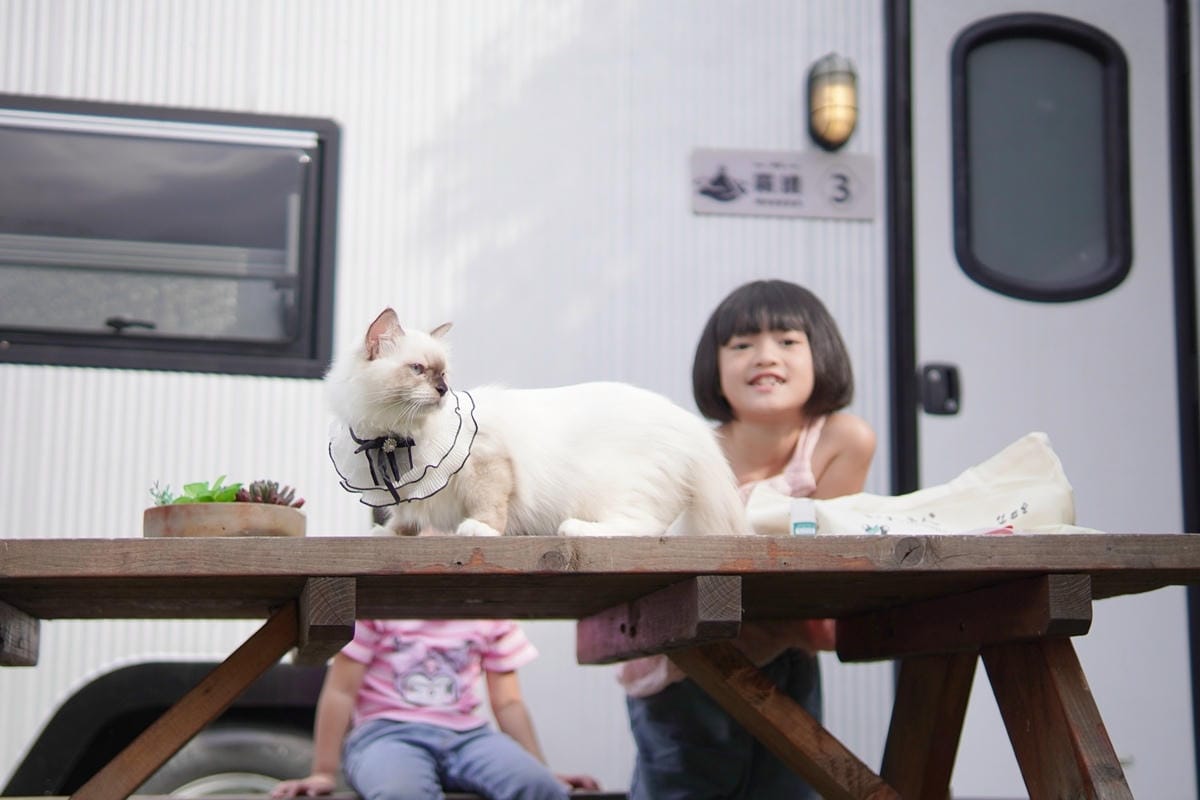 DSC06790.JPG DSC06790.JPG