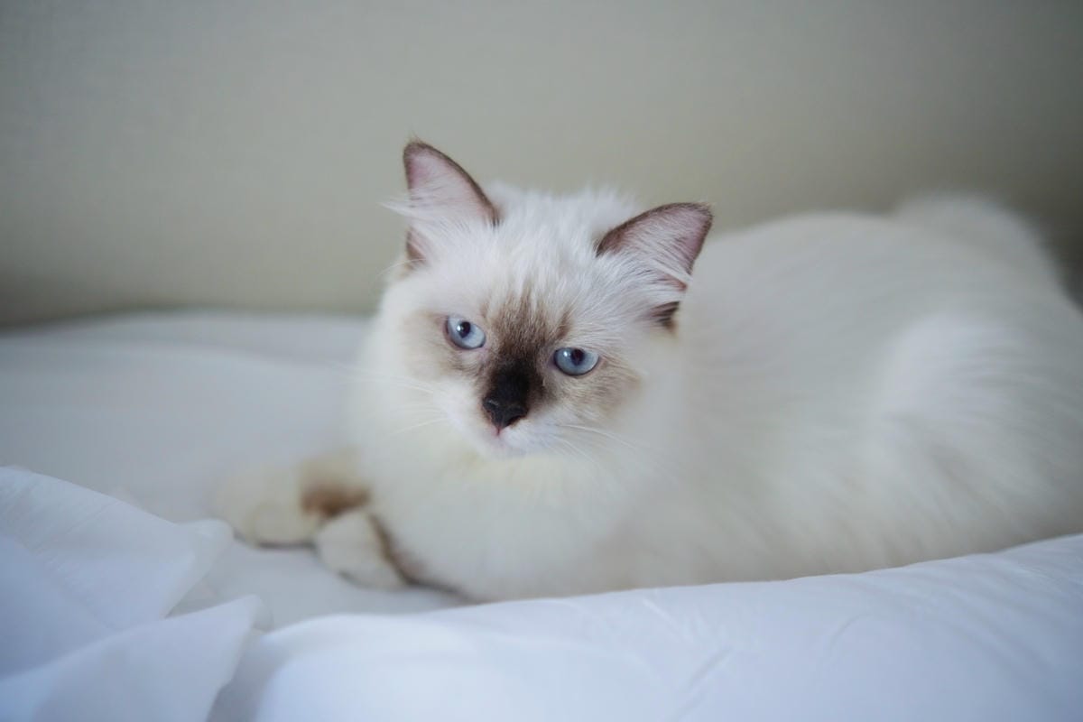 DSC07082.JPG DSC07082.JPG