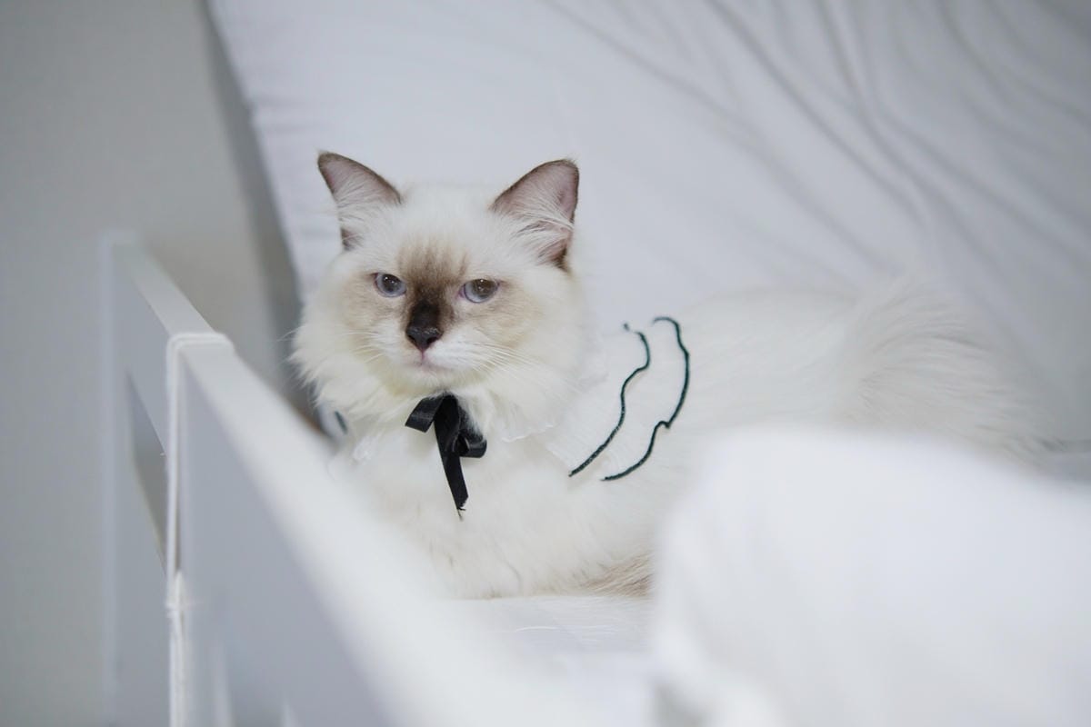 DSC06924.JPG DSC06924.JPG