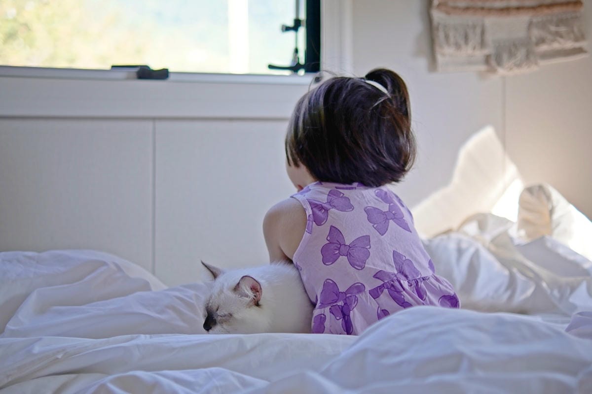 DSC07088.JPG DSC07088.JPG