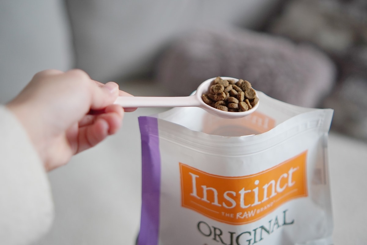【美國原點 Instinct】幼貓飼料推薦，美國飼料領導品牌，讓貓咪一暝大一吋的秘密！