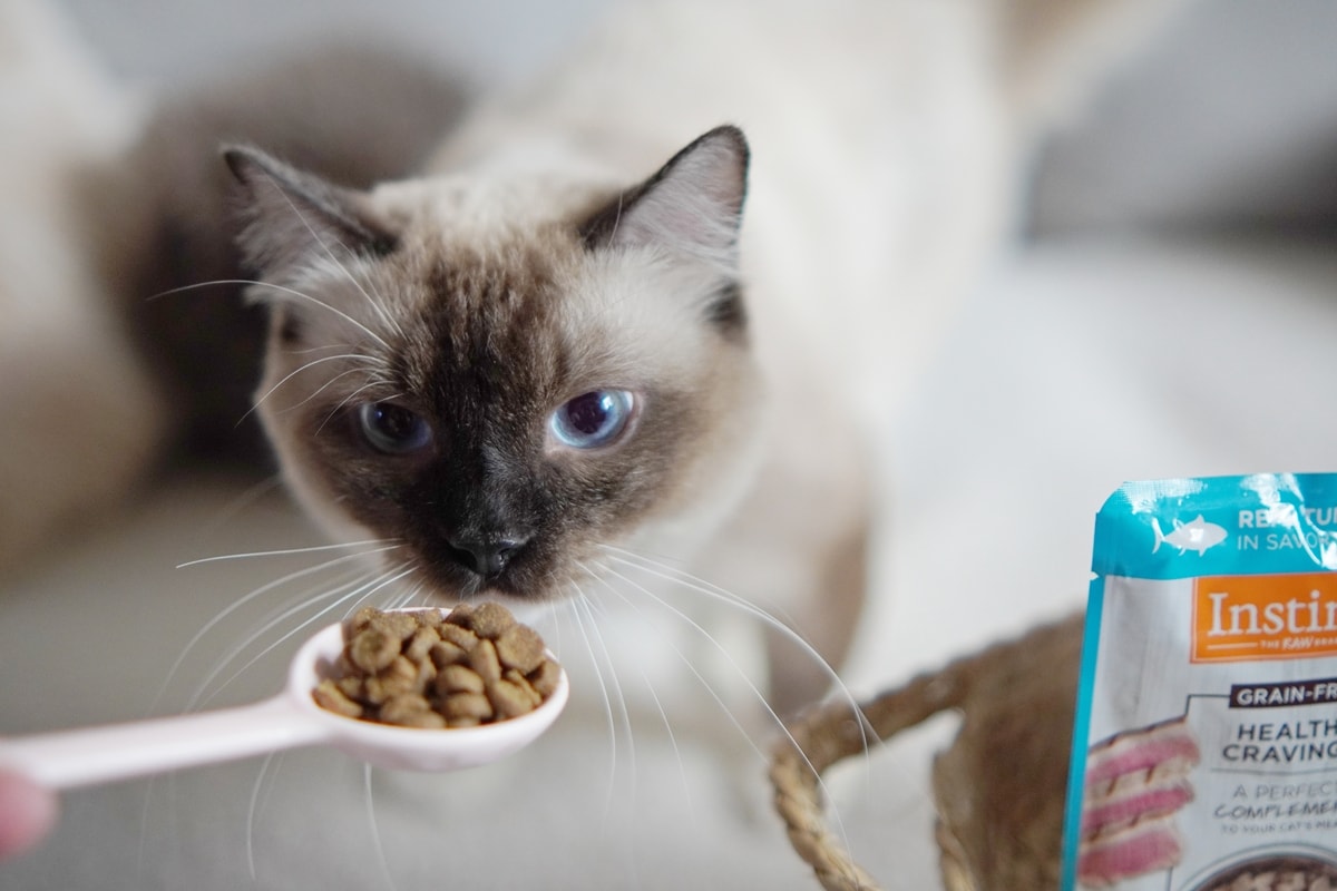 【美國原點 Instinct】幼貓飼料推薦，美國飼料領導品牌，讓貓咪一暝大一吋的秘密！
