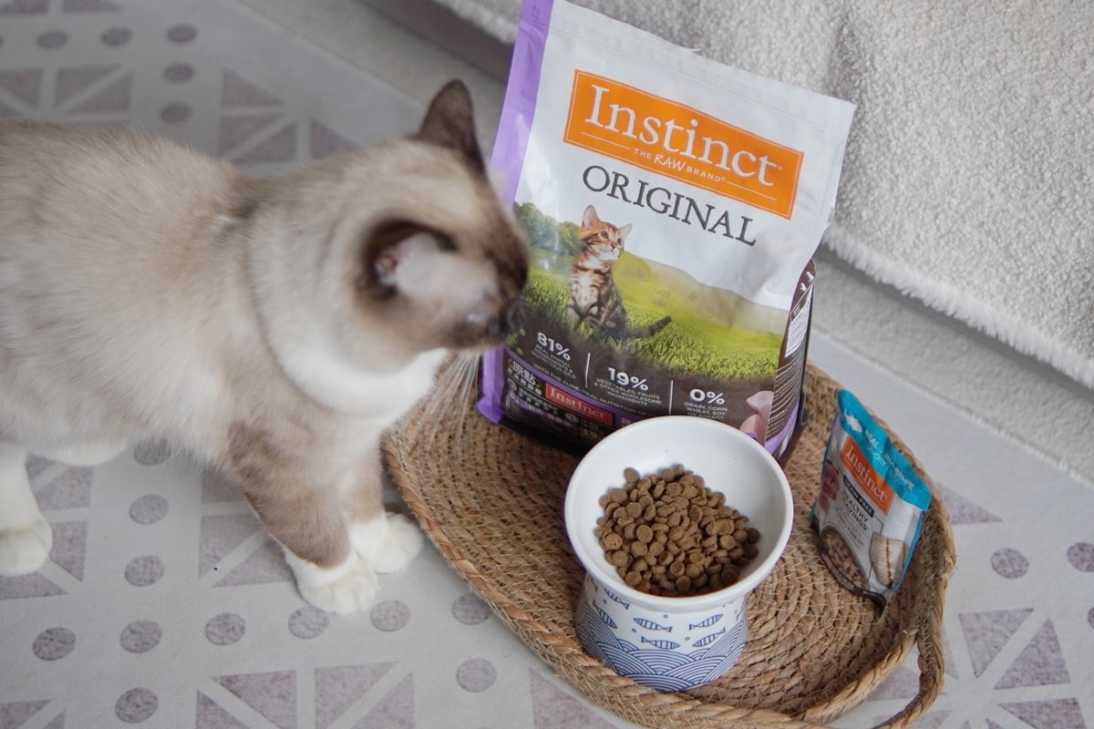 【美國原點 Instinct】幼貓飼料推薦，美國飼料領導品牌，讓貓咪一暝大一吋的秘密！