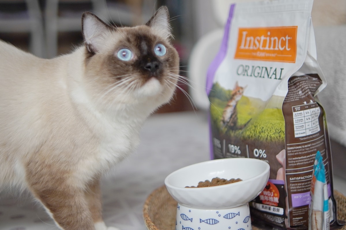 【美國原點 Instinct】幼貓飼料推薦，美國飼料領導品牌，讓貓咪一暝大一吋的秘密！