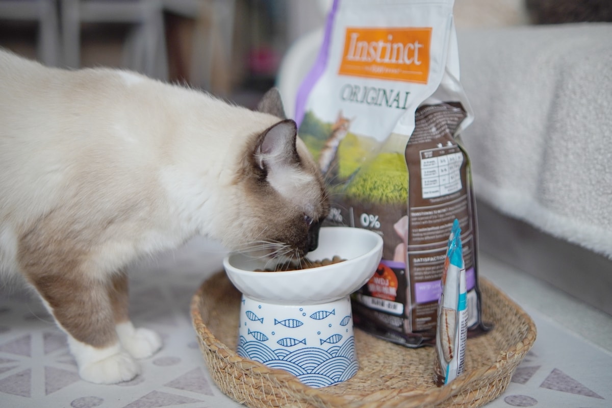 【美國原點 Instinct】幼貓飼料推薦，美國飼料領導品牌，讓貓咪一暝大一吋的秘密！