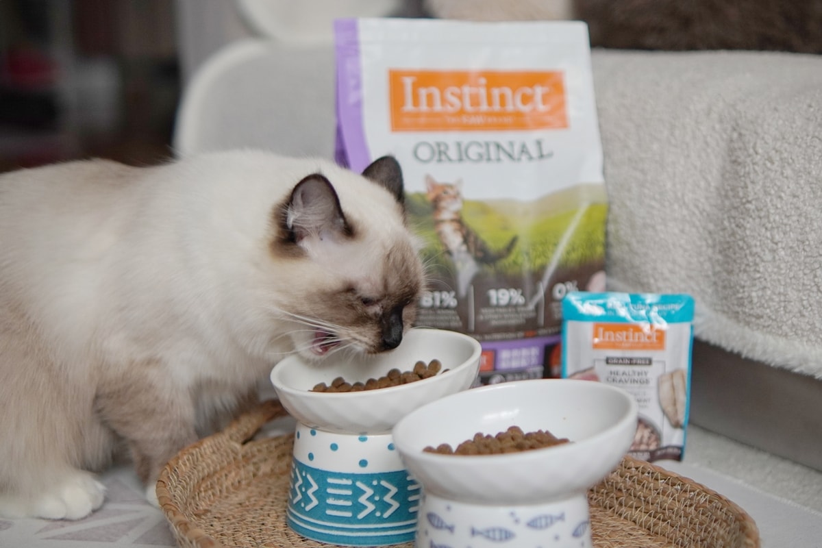 【美國原點 Instinct】幼貓飼料推薦，美國飼料領導品牌，讓貓咪一暝大一吋的秘密！