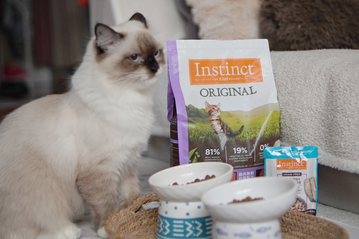 【美國原點 Instinct】幼貓飼料推薦，美國飼料領導品牌，讓貓咪一暝大一吋的秘密！