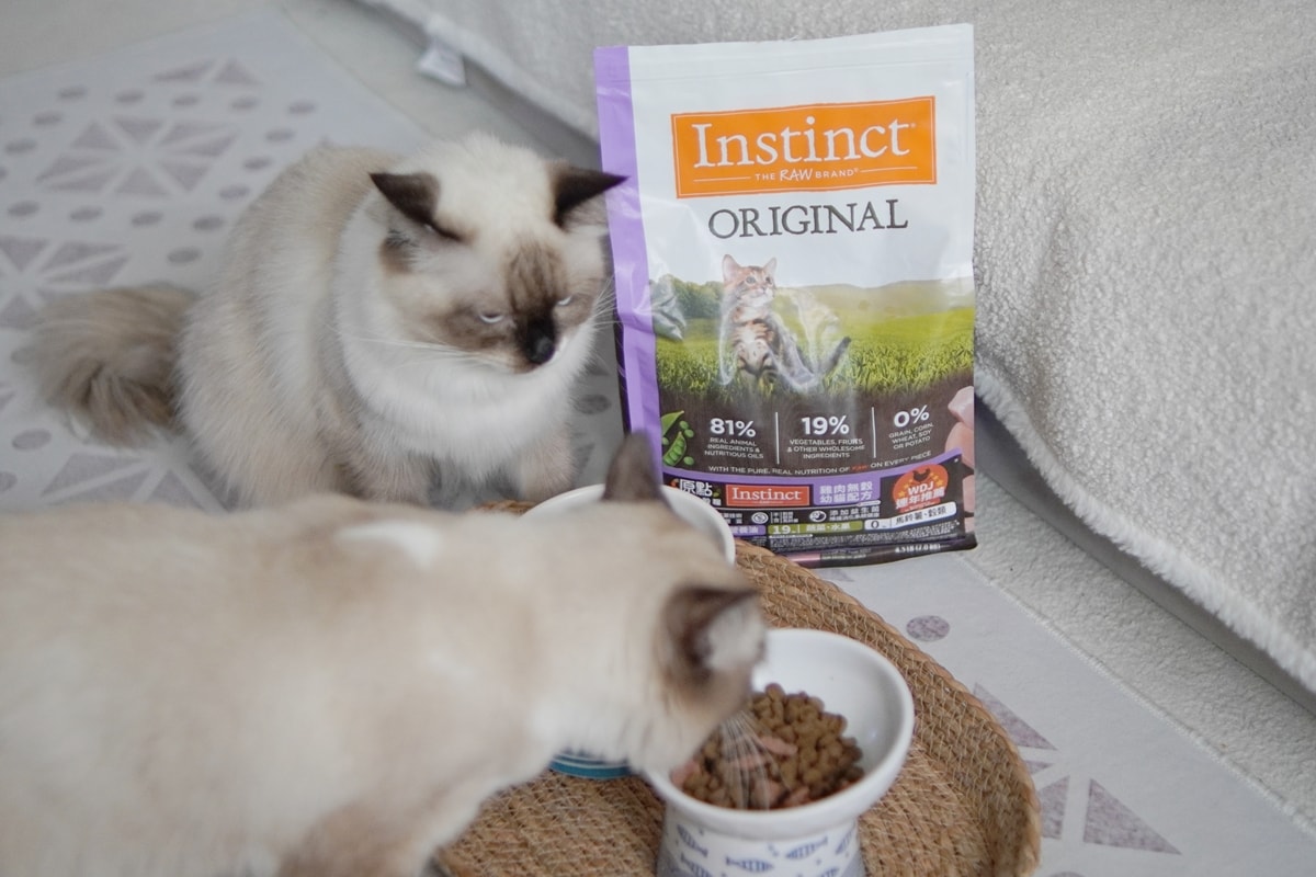 【美國原點 Instinct】幼貓飼料推薦，美國飼料領導品牌，讓貓咪一暝大一吋的秘密！