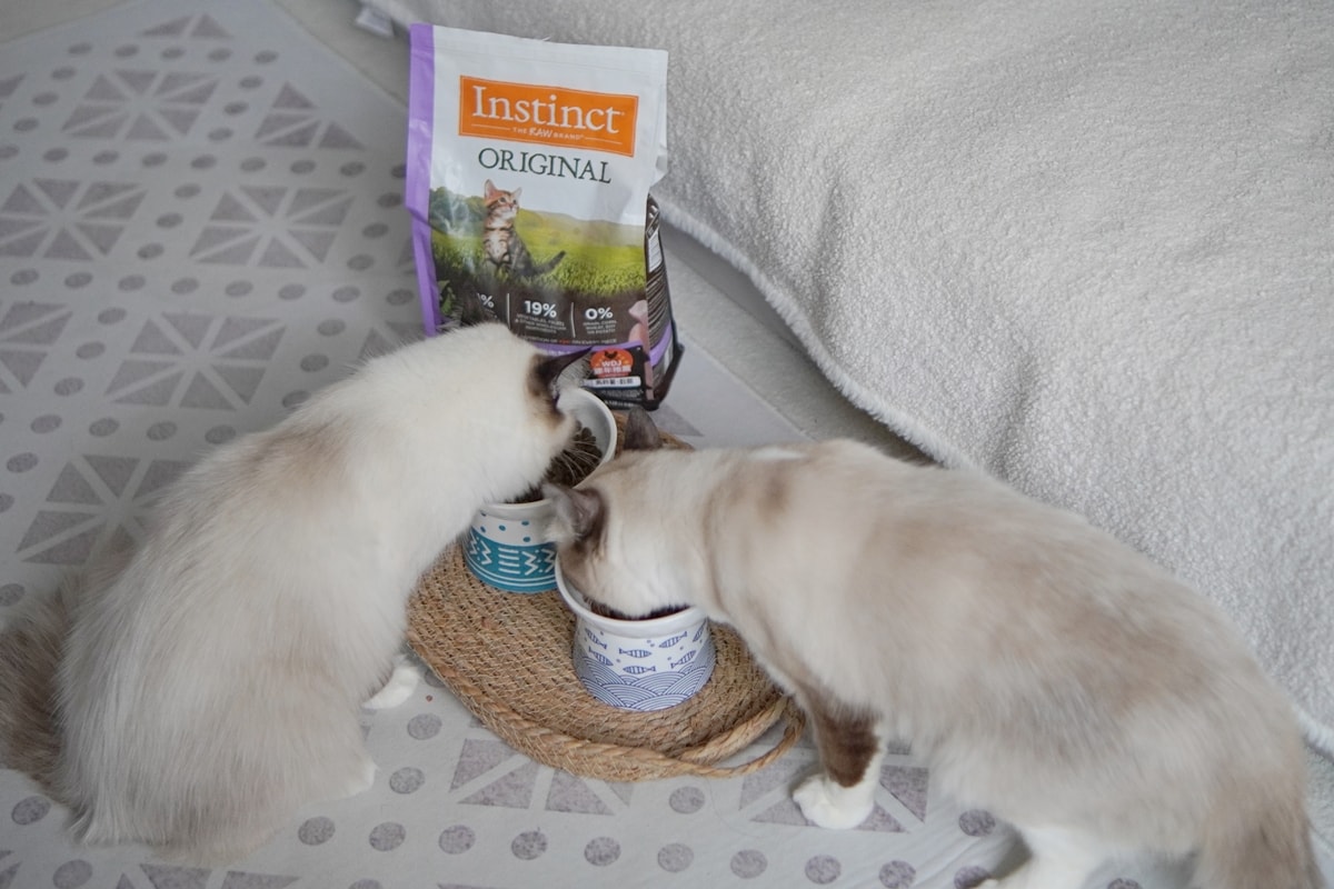 【美國原點 Instinct】幼貓飼料推薦，美國飼料領導品牌，讓貓咪一暝大一吋的秘密！