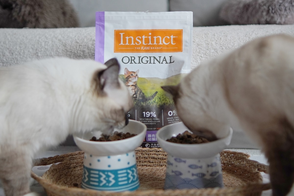 【美國原點 Instinct】幼貓飼料推薦，美國飼料領導品牌，讓貓咪一暝大一吋的秘密！