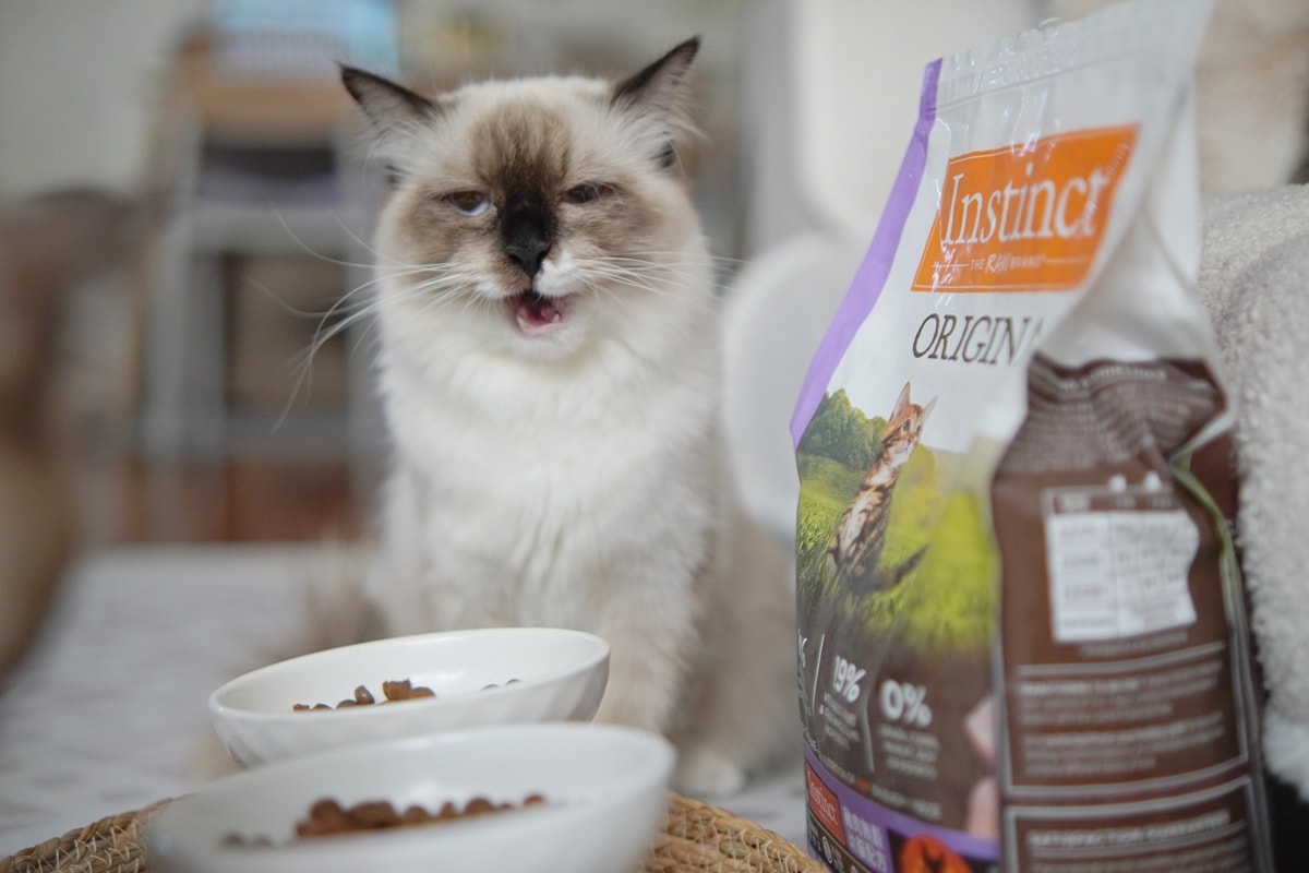 【美國原點 Instinct】幼貓飼料推薦，美國飼料領導品牌，讓貓咪一暝大一吋的秘密！