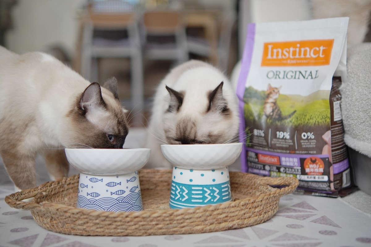 【美國原點 Instinct】幼貓飼料推薦，美國飼料領導品牌，讓貓咪一暝大一吋的秘密！