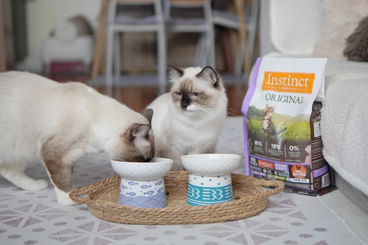 【美國原點 Instinct】幼貓飼料推薦，美國飼料領導品牌，讓貓咪一暝大一吋的秘密！