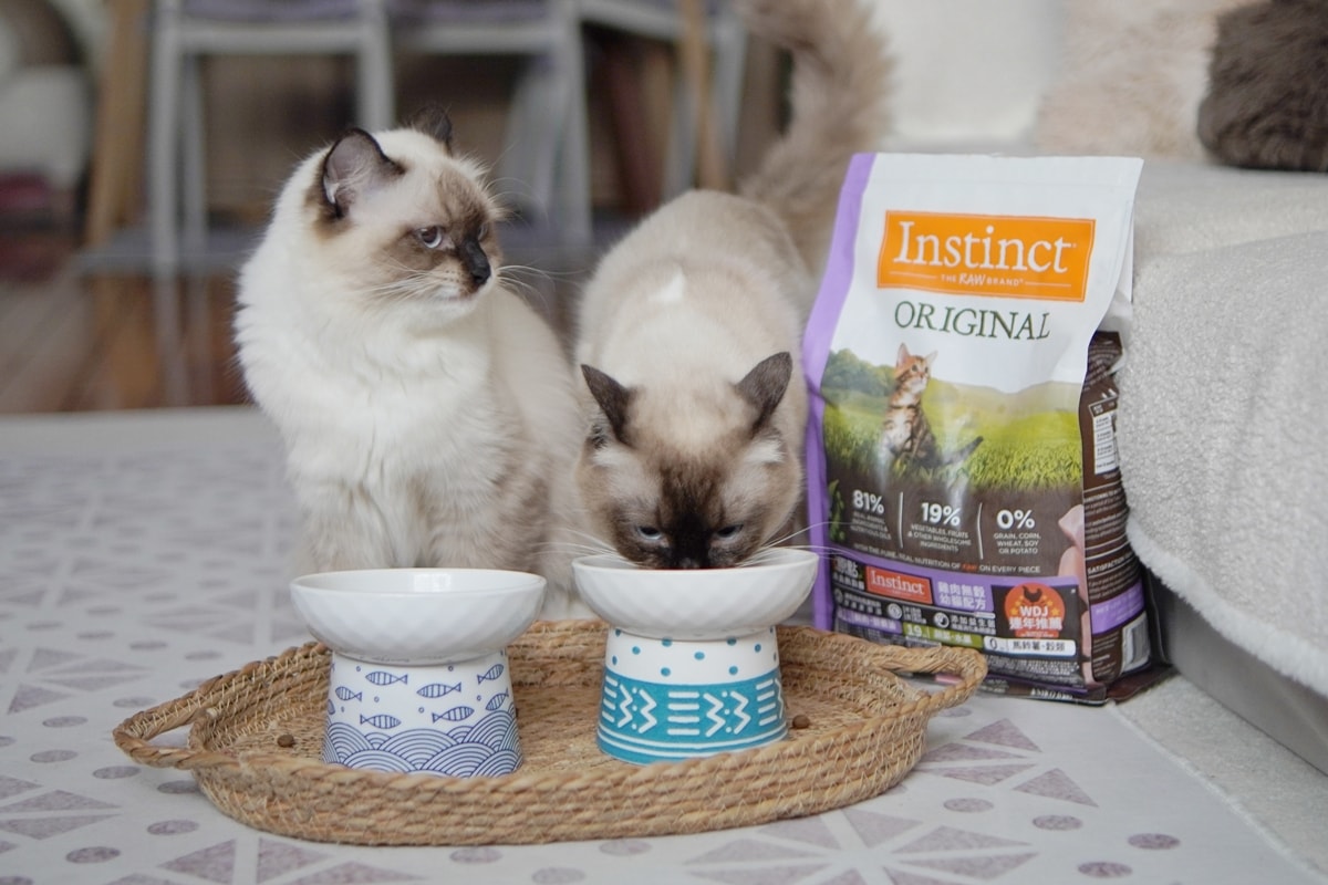 【美國原點 Instinct】幼貓飼料推薦，美國飼料領導品牌，讓貓咪一暝大一吋的秘密！