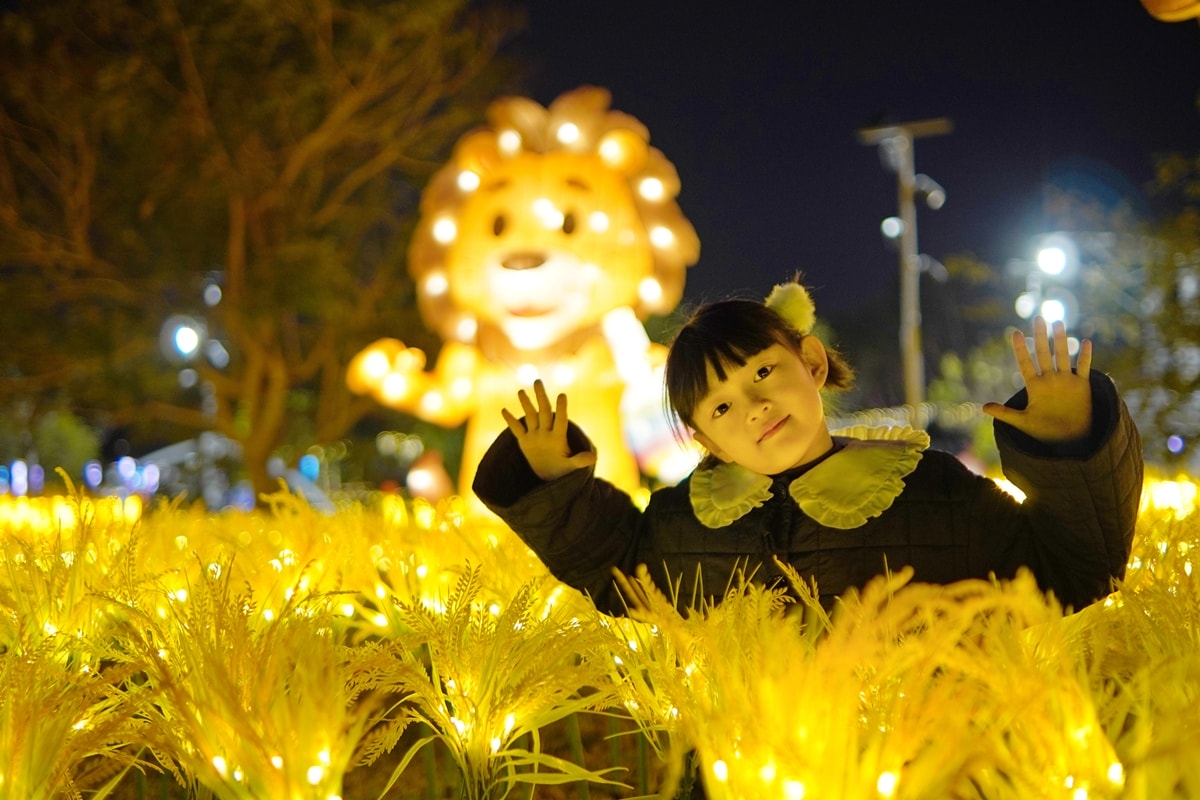 童話夢幻之旅，2026中臺灣燈會開跑啦！教育 局「童趣歡樂谷」燈區，8大童話燈組經典故事重現