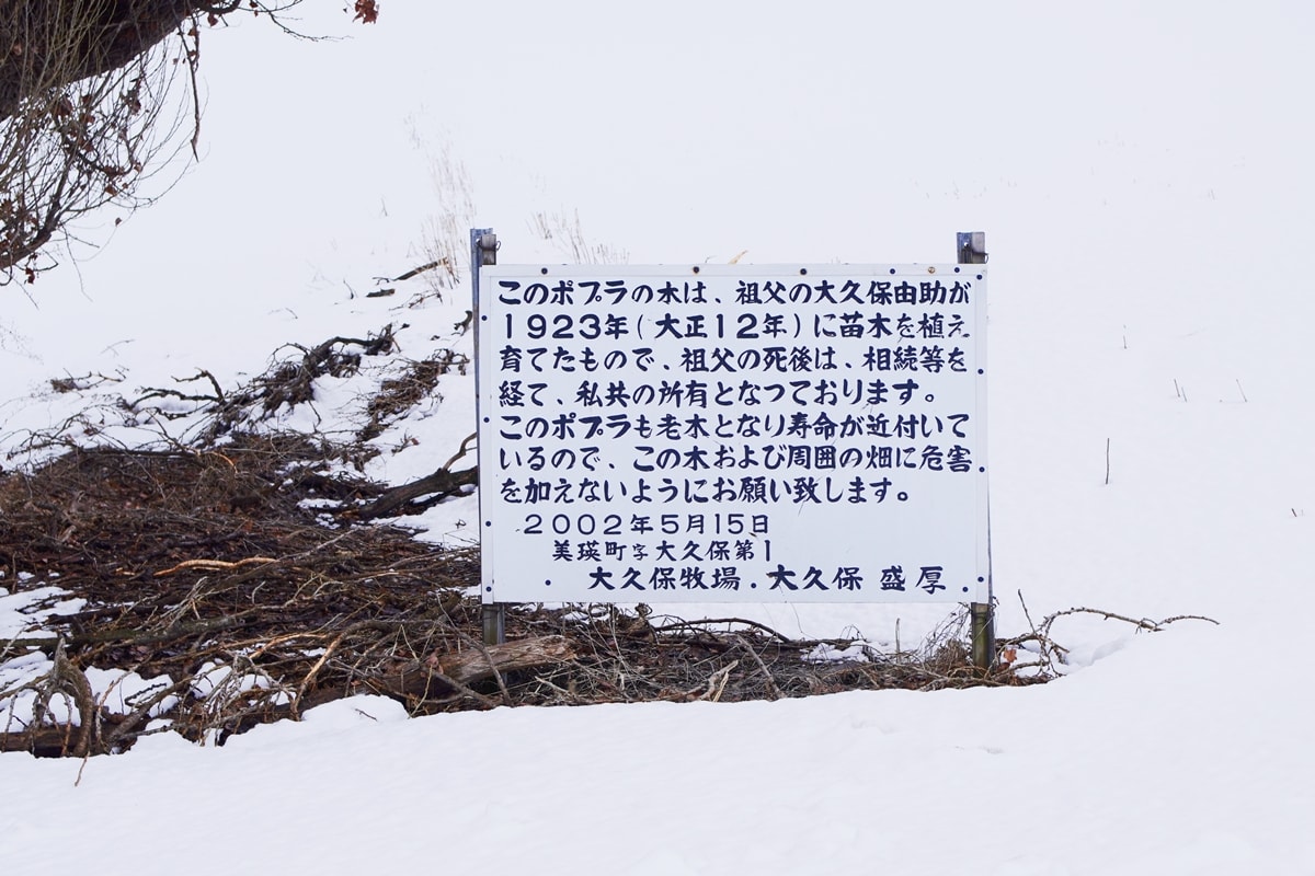 【北海道札幌】北海道的浪漫地標：Ken & Mary之樹(ケンとメリーの木)，3月雪白戀歌