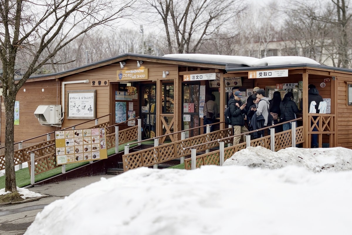 【北海道旭川市】2026親子旅遊推薦，看企鵝、北極熊，旭山動物園全攻略：門票交通、園區資訊
