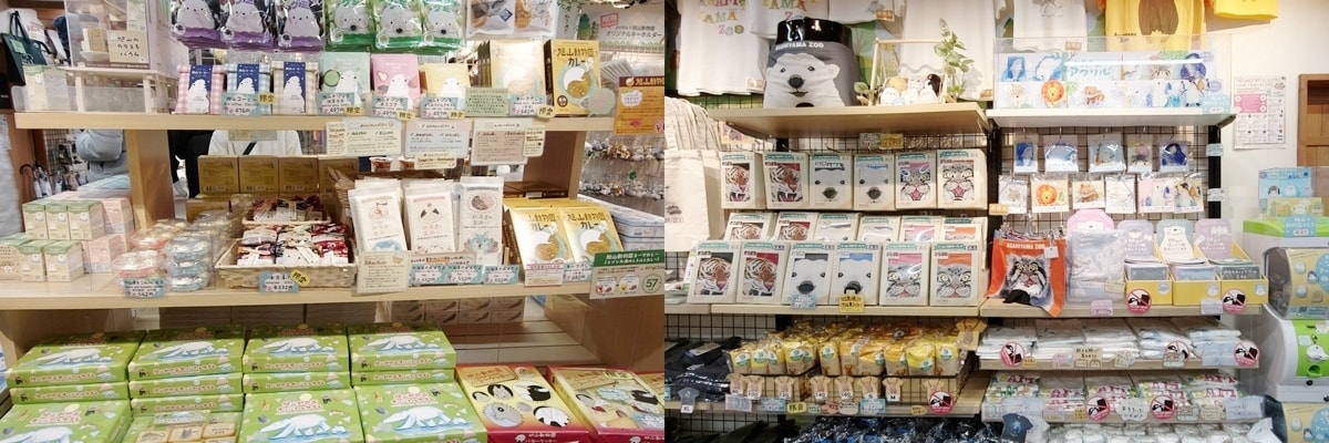 【北海道旭川市】2026親子旅遊推薦，看企鵝、北極熊，旭山動物園全攻略：門票交通、園區資訊