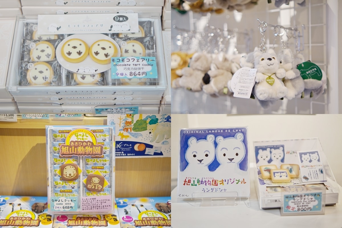 【北海道旭川市】2026親子旅遊推薦，看企鵝、北極熊，旭山動物園全攻略：門票交通、園區資訊