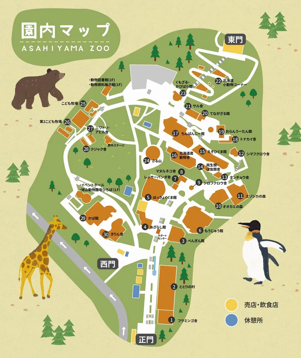 【北海道旭川市】2026親子旅遊推薦，看企鵝、北極熊，旭山動物園全攻略：門票交通、園區資訊