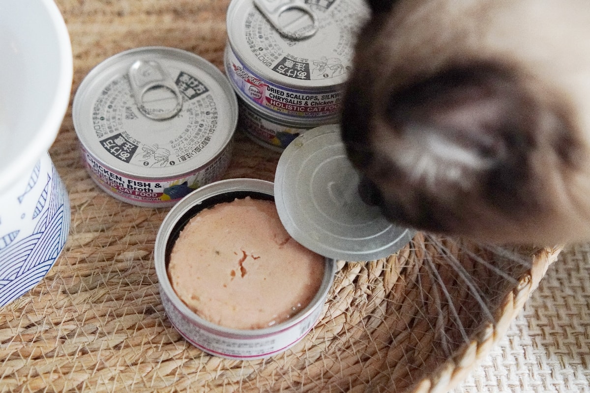 PURRFACT 波菲特貓用主食罐：貓奴必看！質地是慕絲狀，挑食貓咪與老貓的最佳主食罐