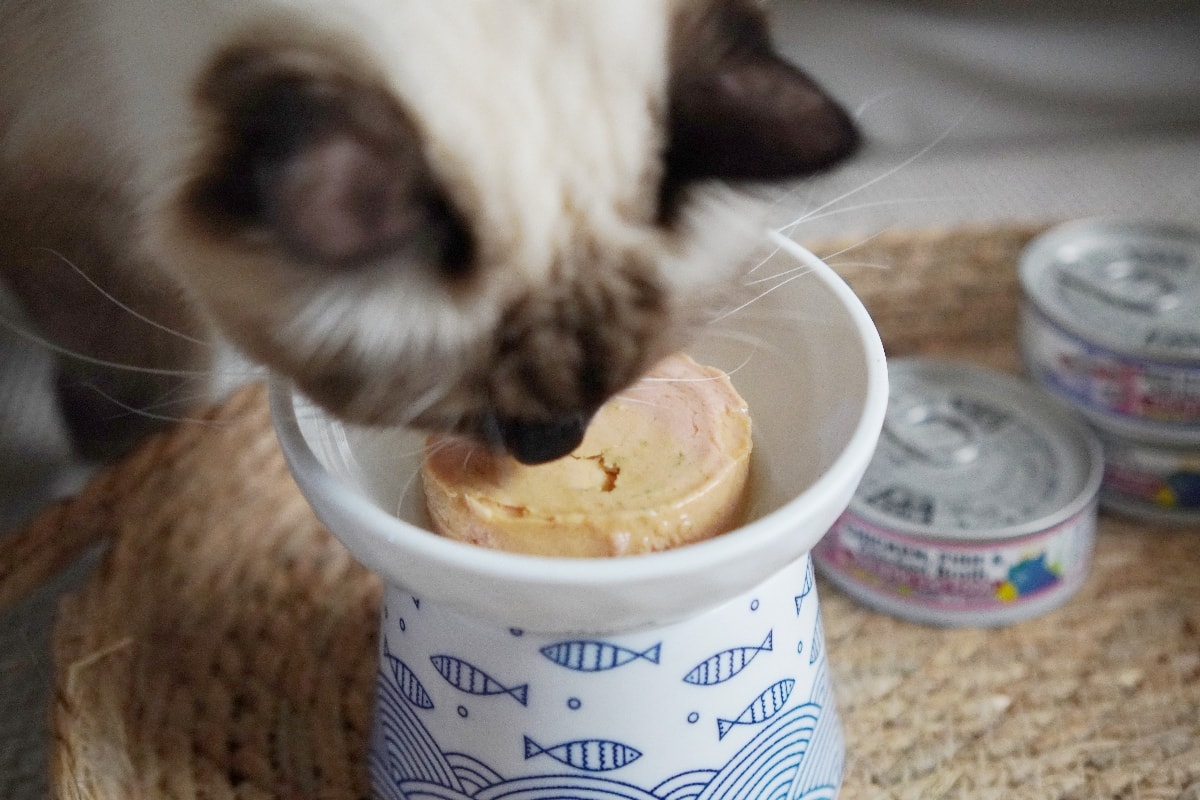 PURRFACT 波菲特貓用主食罐：貓奴必看！質地是慕絲狀，挑食貓咪與老貓的最佳主食罐