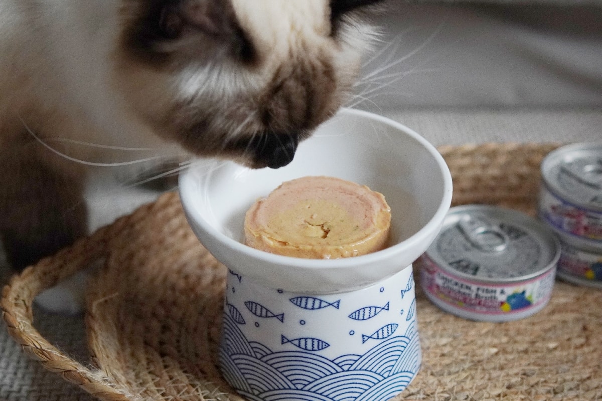 PURRFACT 波菲特貓用主食罐：貓奴必看！質地是慕絲狀，挑食貓咪與老貓的最佳主食罐