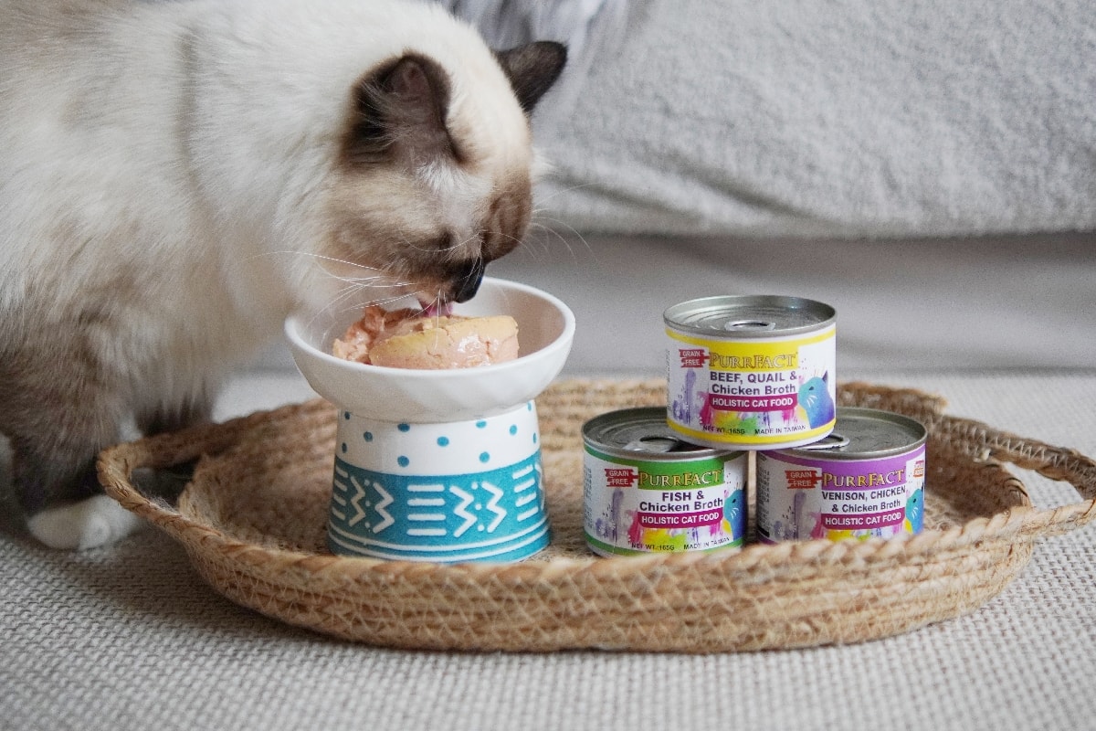 PURRFACT 波菲特貓用主食罐：貓奴必看！質地是慕絲狀，挑食貓咪與老貓的最佳主食罐