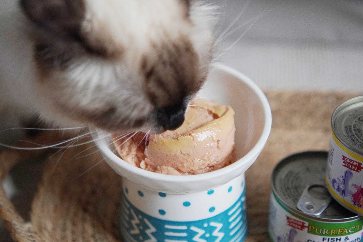 PURRFACT 波菲特貓用主食罐：貓奴必看！質地是慕絲狀，挑食貓咪與老貓的最佳主食罐