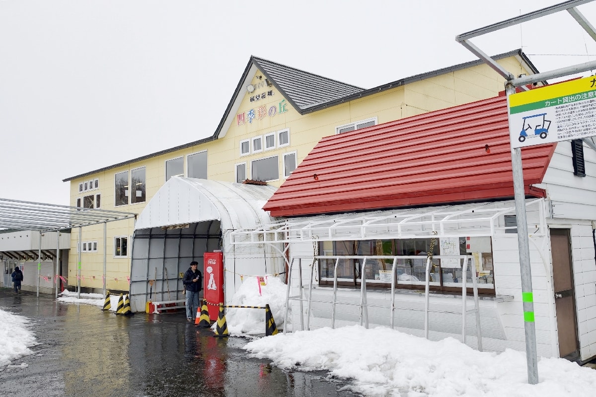 【北海道美瑛】這次來不看花，來看冬日樂趣滿滿！北海道四季彩の丘雪季，體驗鹿肉料理