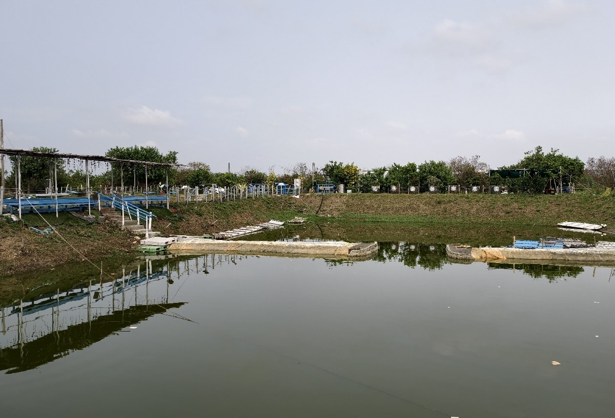 【台南安南區景點推薦】媽祖宮九塊厝生態園區，一日漁夫體驗之旅，美味虱目魚料理