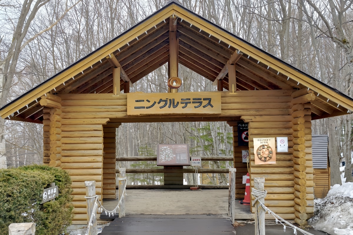 【北海道富良野】森林精靈露台,體驗夢幻冬季雪景,小木屋步道商店街,手工紀念品推薦 - 第2張圖 【北海道富良野】森林精靈露台,體驗夢幻冬季雪景,小木屋步道商店街,手工紀念品推薦